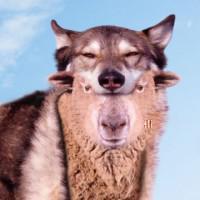 Работа, бизнес и предпринимательство