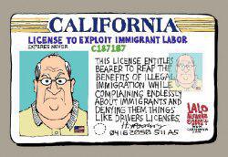 Работа, бизнес и предпринимательство