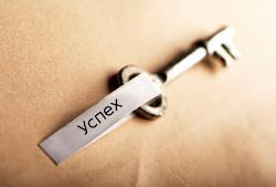 Работа, бизнес и предпринимательство