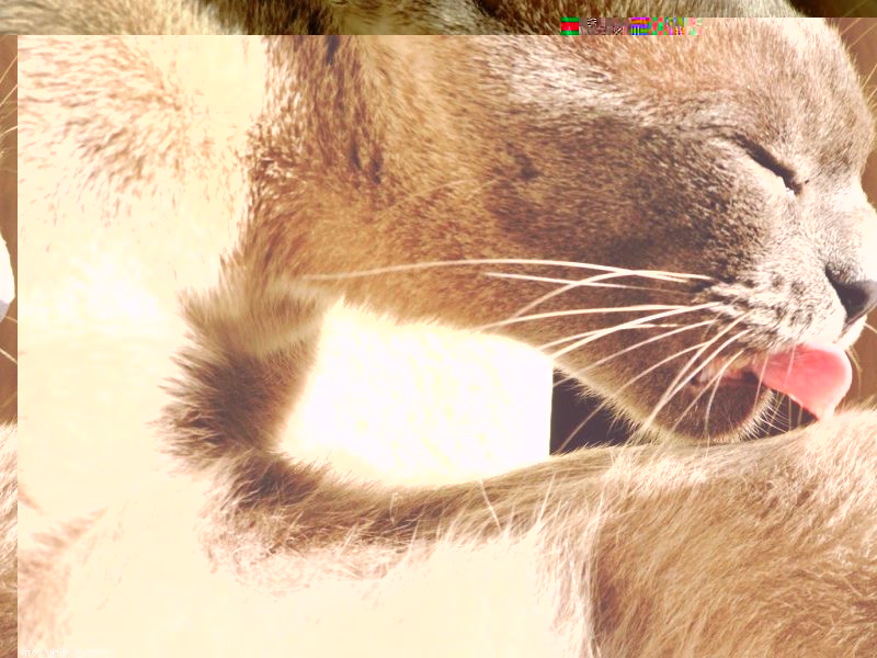 Идеи для домашнего бизнеса: мобильная (передвижная) уборка