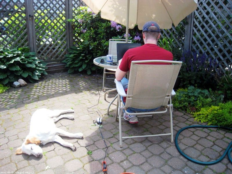 Преимущества ведения бизнеса на дому