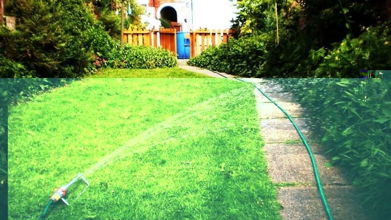 Полив газонов - идея домашнего бизнеса
