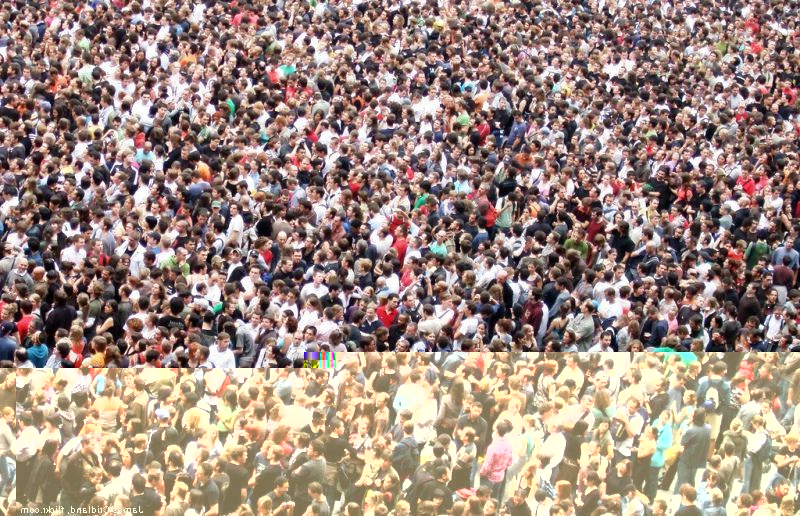 Испытываете ли вы потребность в увеличении трафика на сайт?