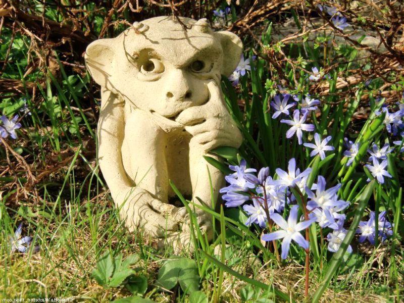 Каждодневные приказы для бизнесмена