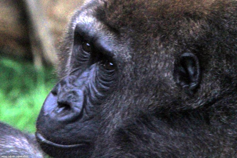 7 способов, как найти нормальную работу на дому.