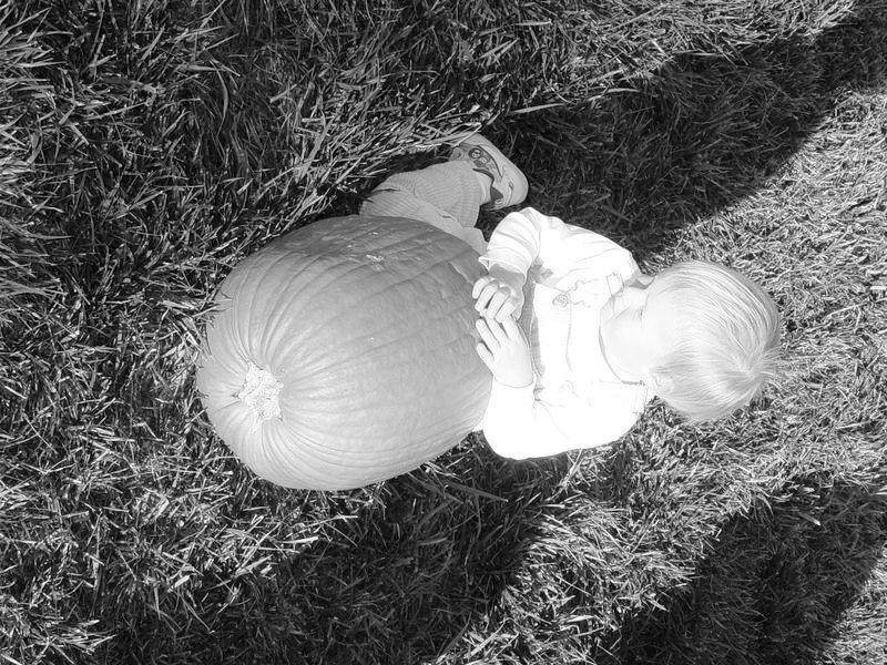 Курсы контекстной рекламы: как самому сделать и разместить рекламу