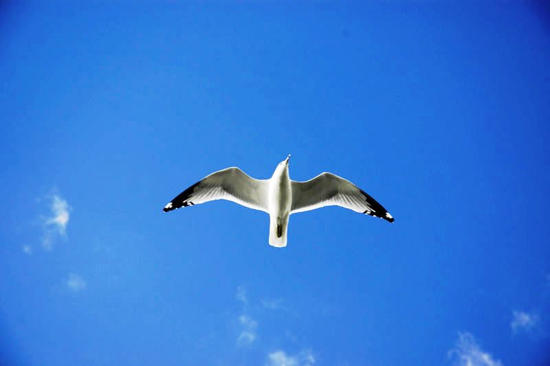 Как быстро раскрутить сайт или интернет-магазин с нуля