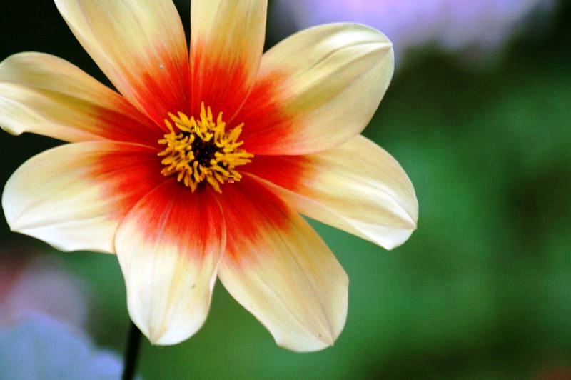 Семинар «Основы поисковой оптимизации и продвижения сайта»