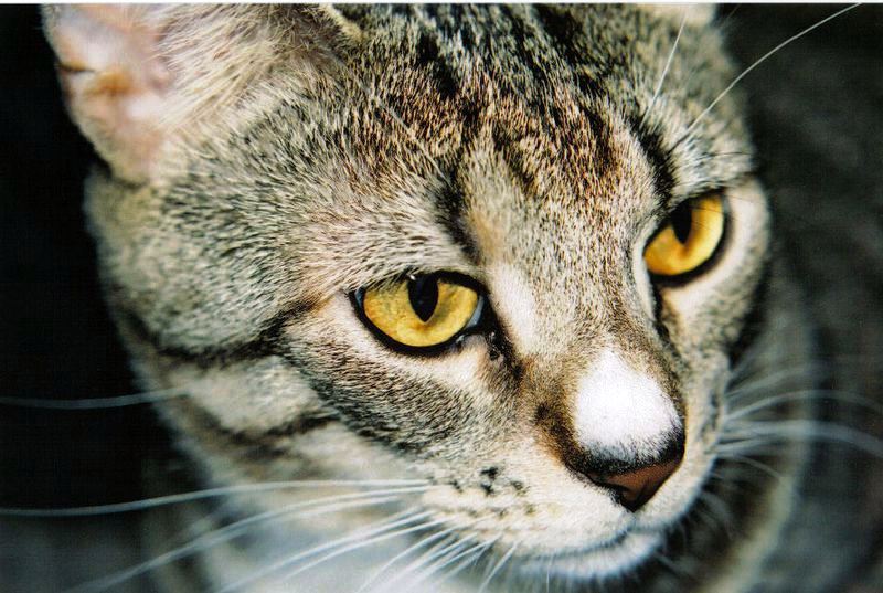 Бизнес план интернет сайта или портала: разработка, продвижение, раскрутка