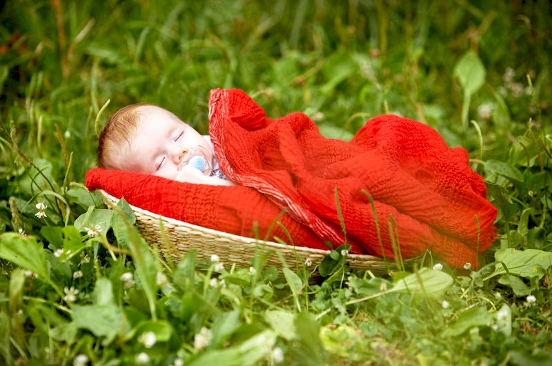 Как стать фотографом?