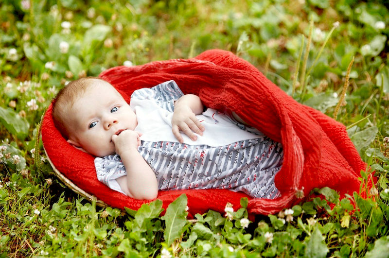 Как стать фотографом с нуля?