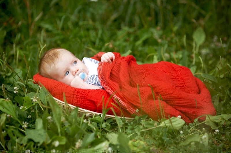 Какой фотоаппарат купить начинающему фотографу?