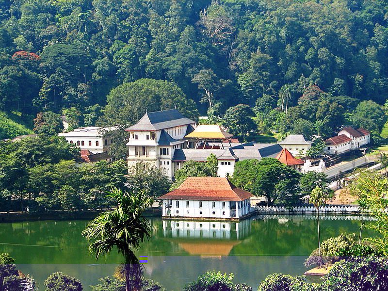 Экзотические каникулы и острые ощущения в Шри-Ланке. Хостел Коломбо.