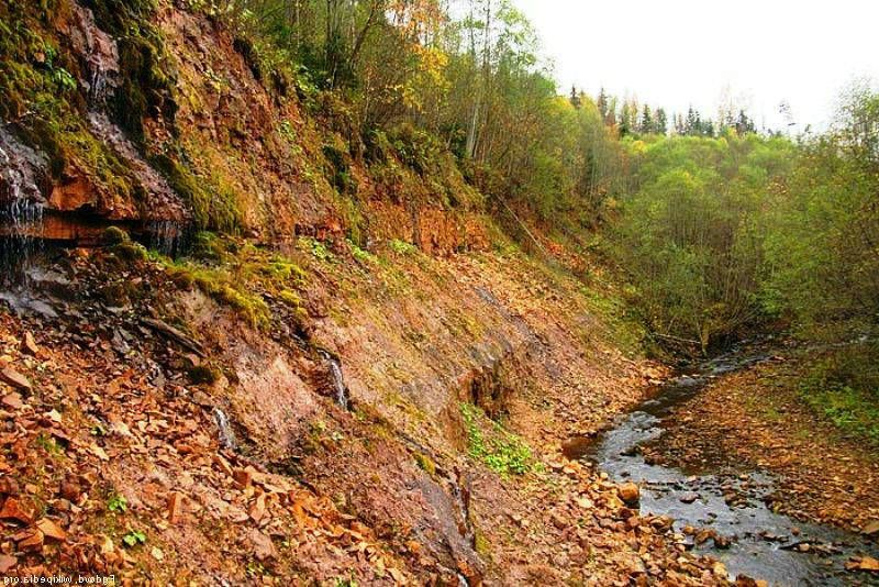 Рагуши или «Почему люди летом отправляются на юг?»