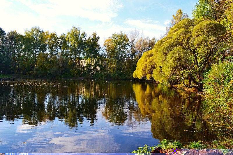 Резерват рек Урья-Канжая – одна из жемчужин Вепсского леса.