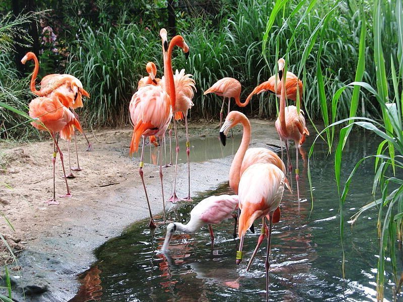 Отпуск в Барранкилья: что делать, где поесть и где остановиться