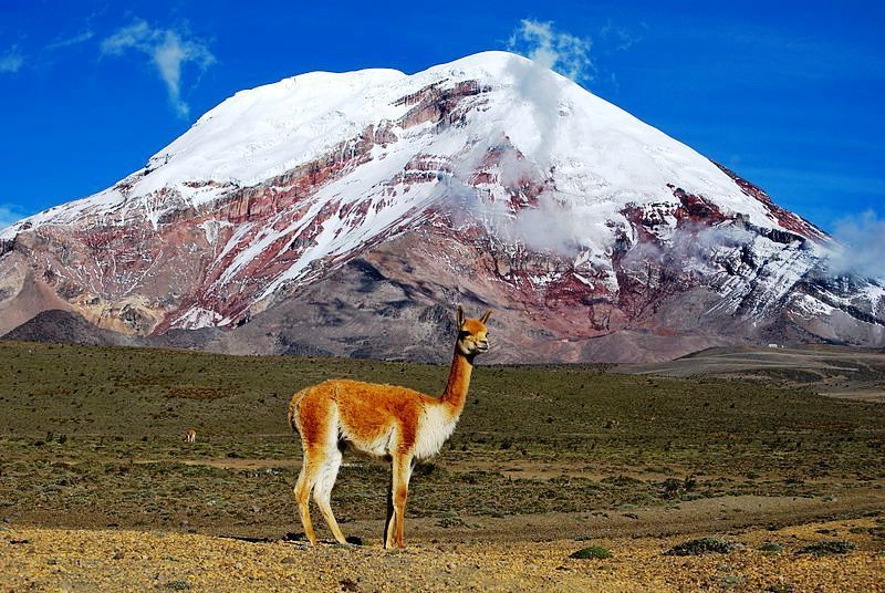 Необыкновенное путешествие в Южную Америку.