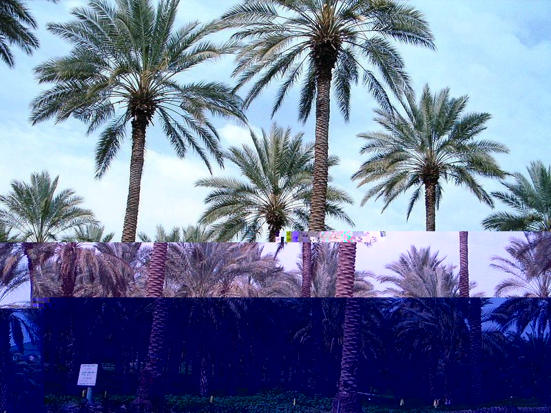 О том, как бюджетно отдохнуть