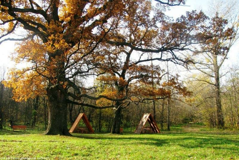 Поселок «Дубовый» Белгородской области